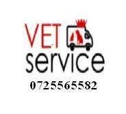 Vet Service - cabinet veterinar