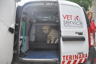 Vet Service - cabinet veterinar